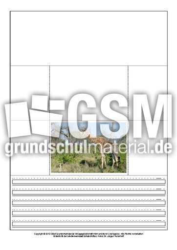 Popup-Buch-Giraffe-1-8.pdf